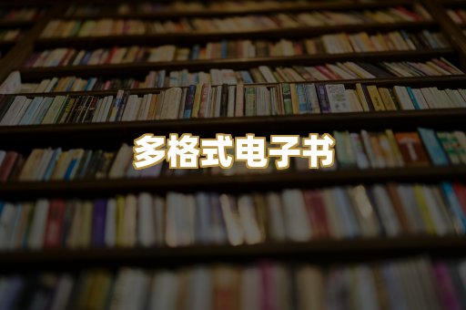 多格式电子书